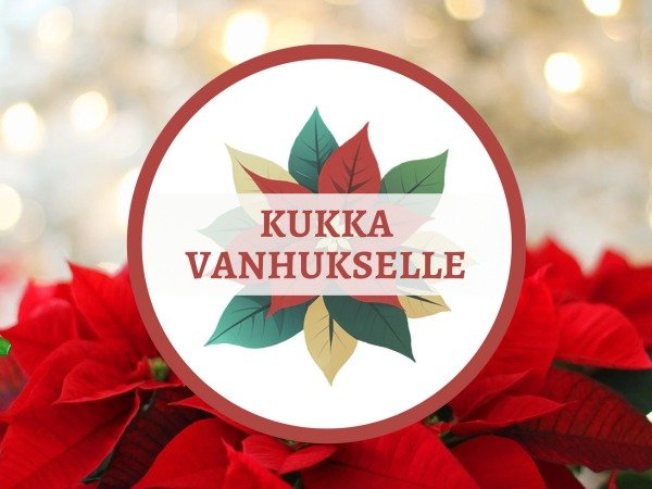 Joulukukka vanhukselle